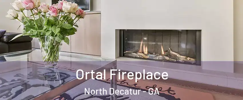  Ortal Fireplace North Decatur - GA